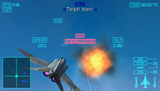 Ace Combat: Joint Assault